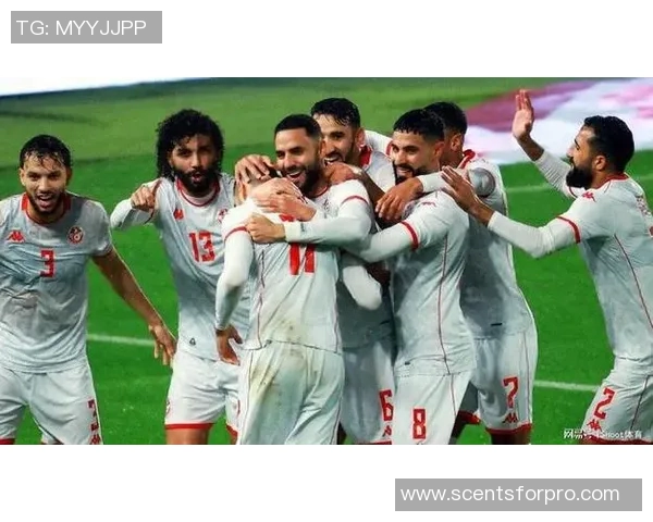 突尼斯足球传奇人物揭秘他如何在国际舞台上崭露头角