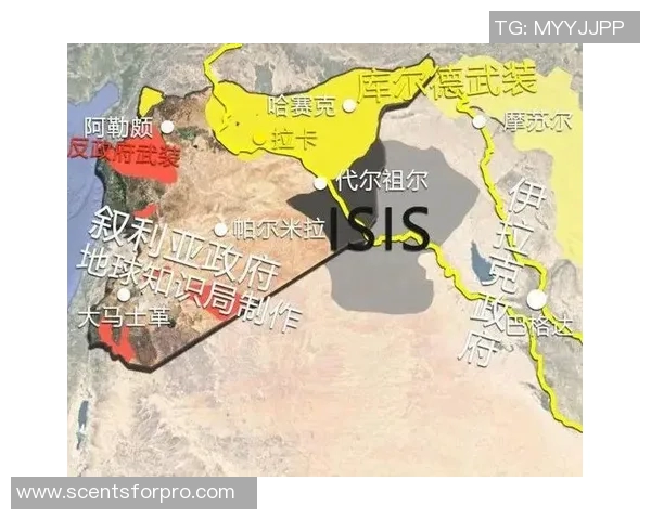 伊朗与叙利亚比赛是否会出现放水现象的深度分析与探讨