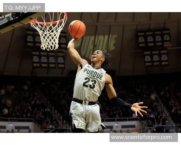 杰登艾维的崛起之路:从大学篮球新星到NBA未来之星的奋斗历程