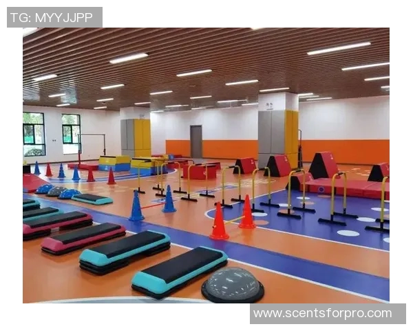 培养未来运动明星的小孩体育培训学习机构全方位提升孩子的体能与技能